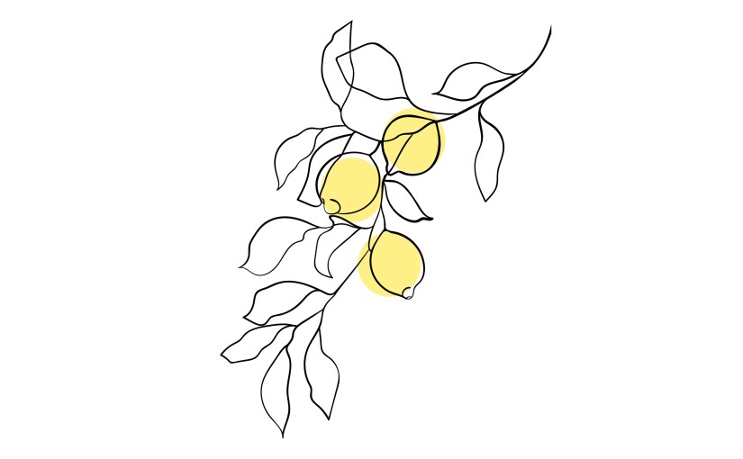 Lemon Tree