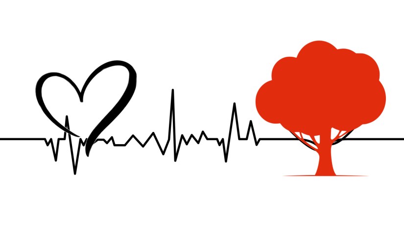 It Just So&nbsp;Happens